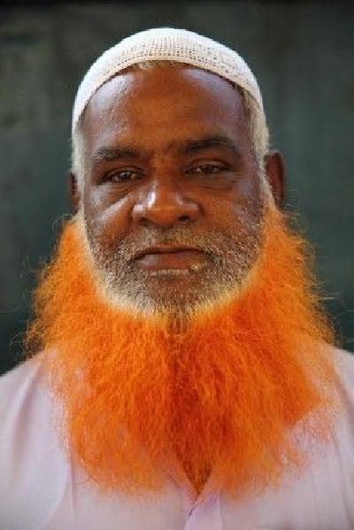 আব্দুল আল মামুন